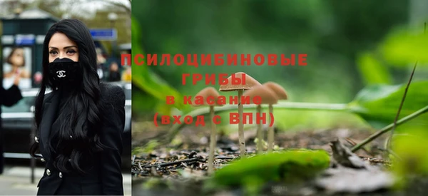 гидропоника Арсеньев