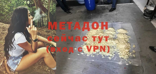 трава Аркадак